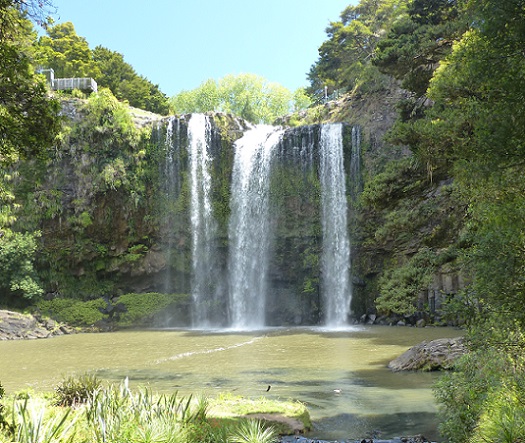 Whangarei Falls in sunshine